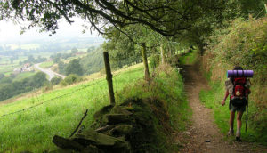 Persona che percorre il Cammino di Santiago lungo un sentiero.