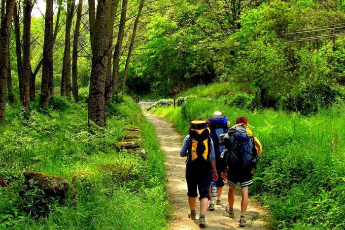 Authority and obedience. Kindness and abuse.