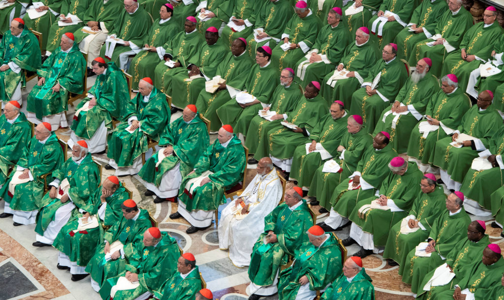 Synods in the life of the Church