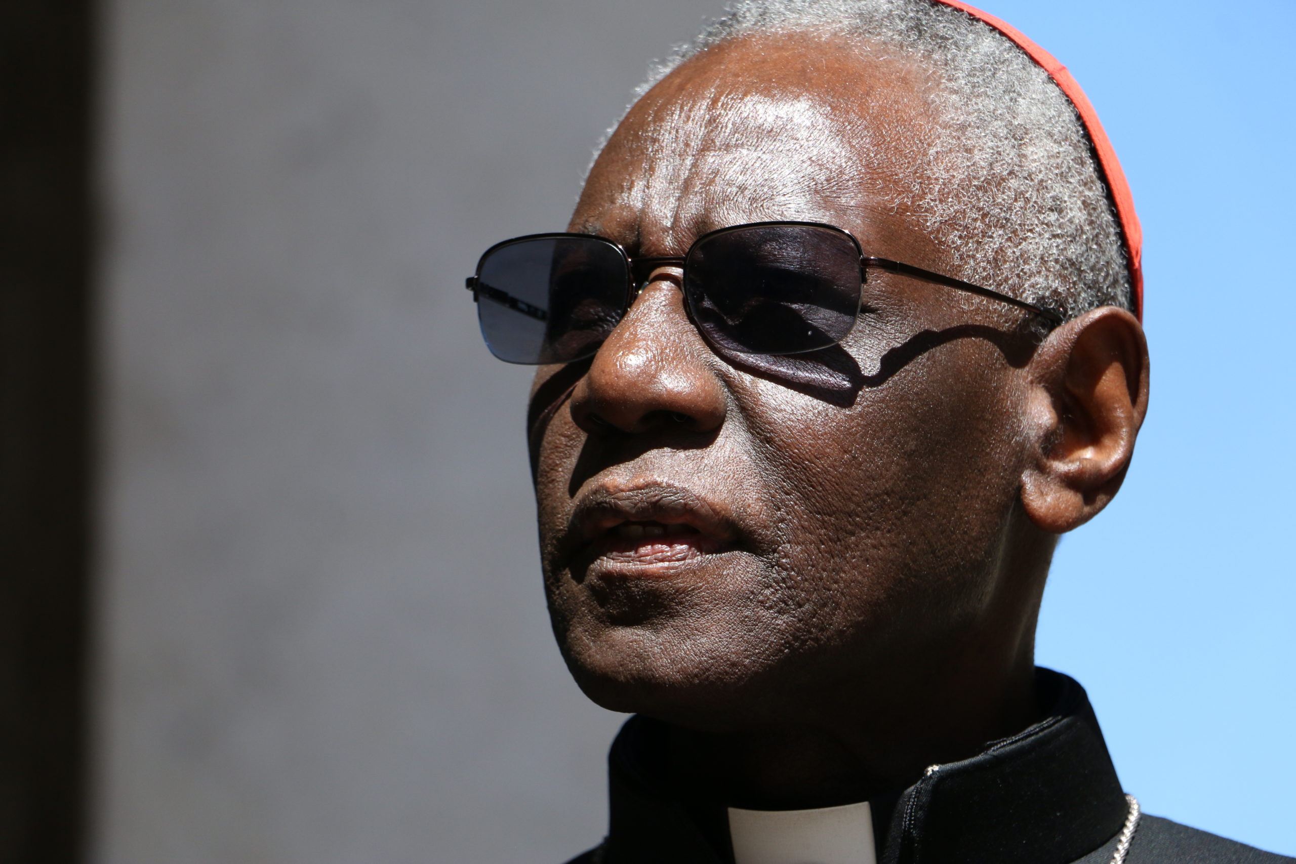 Cardinal Sarah: "We must strengthen unity in the Church" - Omnes
