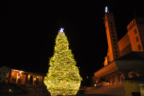 Un albero di Natale solidale a Torreciudad