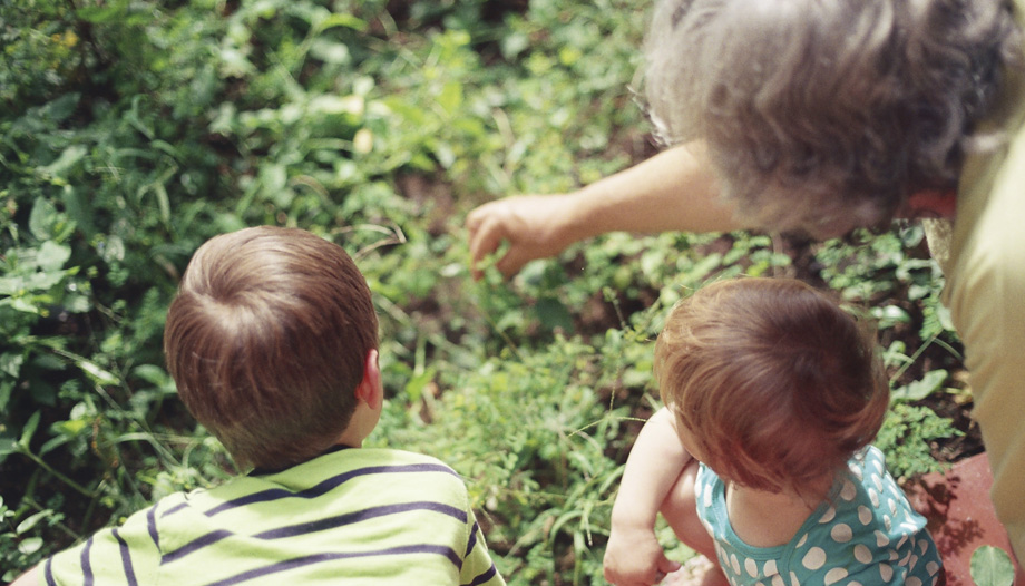 The beauty and richness of the family