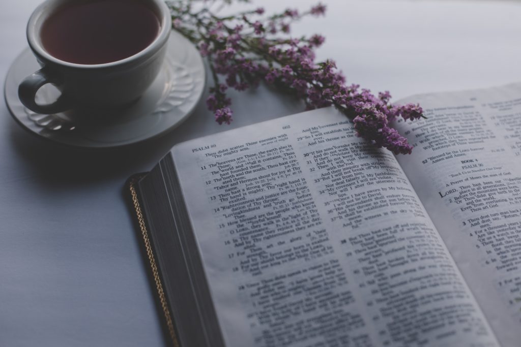 Vías de evangelización: la luz de la Palabra divina