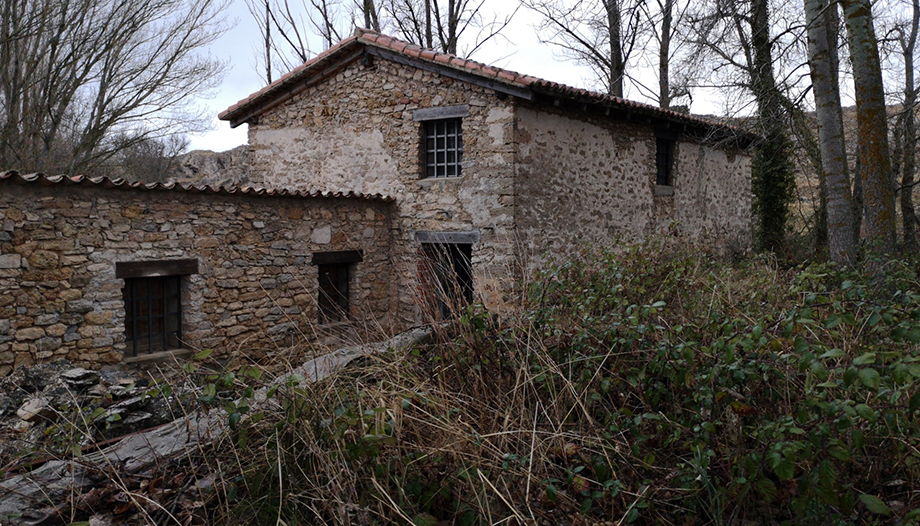 El medio rural revive tras la pandemia: el arte de repoblar