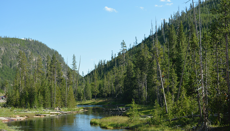 lake and countryside