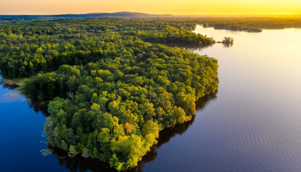 Emocionarse con la belleza de la naturaleza