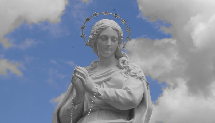 Más devoción a María= aumento de las vocaciones