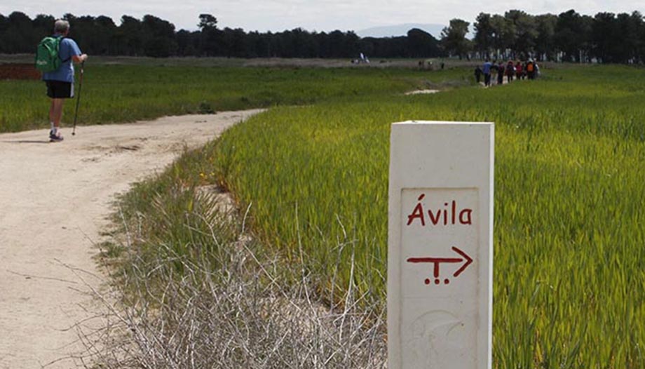 The Teresian Way: In the footsteps of the life of St. Teresa of Jesus.