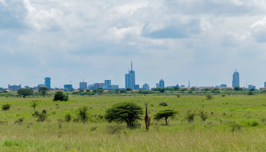 Quão promissor é o futuro da Igreja em África?