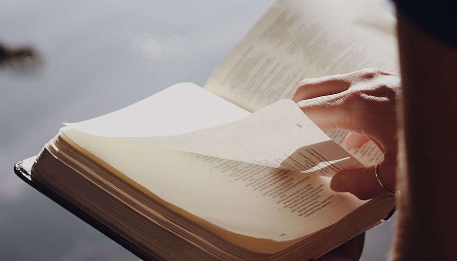 Commentary on the readings of Sunday 27th Sunday in Ordinary Time (B)