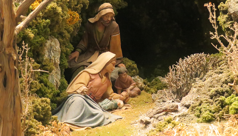 Für ein grünes Weihnachten