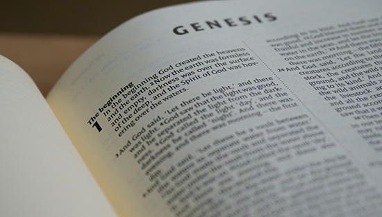 The word of God enters history. Readings for the Second Sunday of Advent