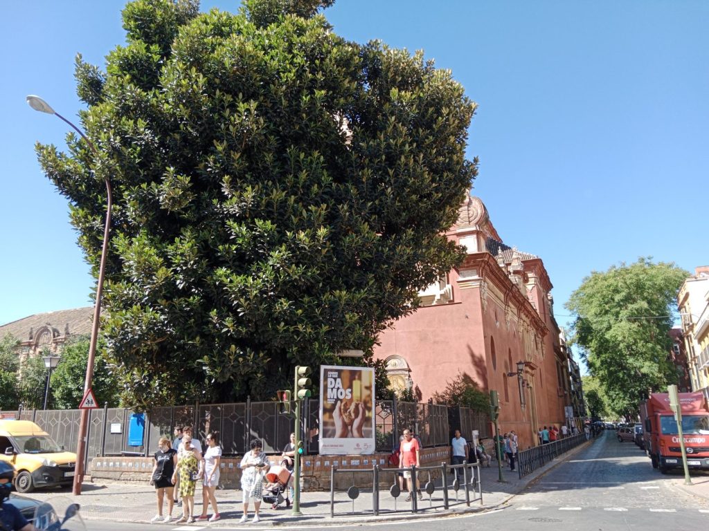 El árbol del bien y del mal