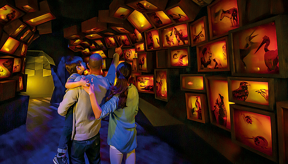 Un museo para conocer y disfrutar la Biblia en el corazón de Washington