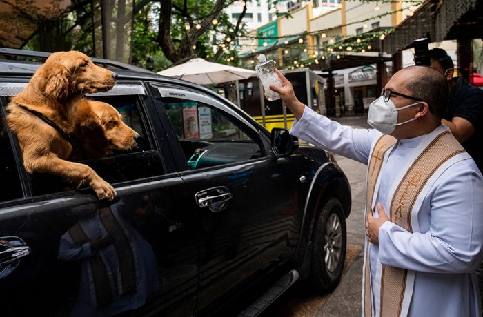 blessing-of-animals-philippines