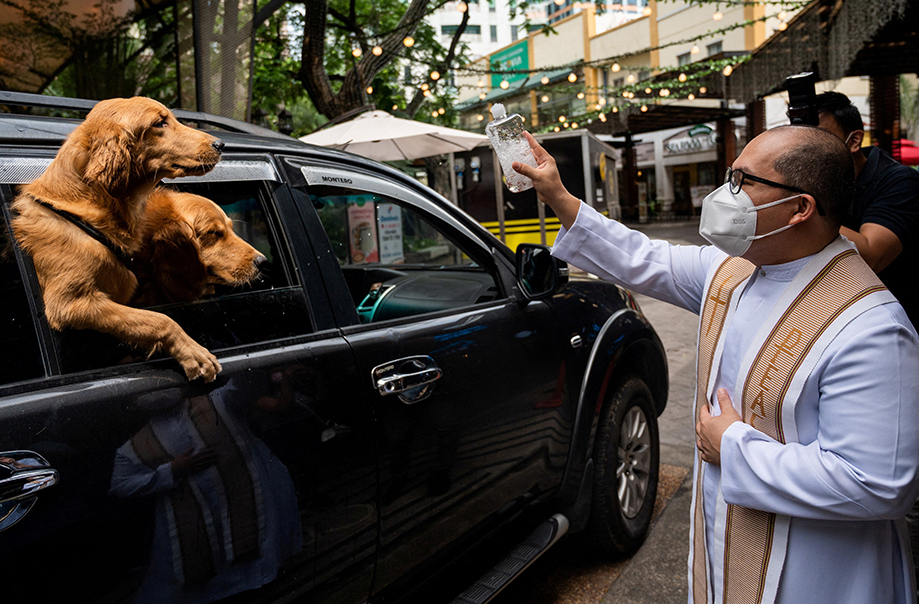 Bendición de animales en Filipinas