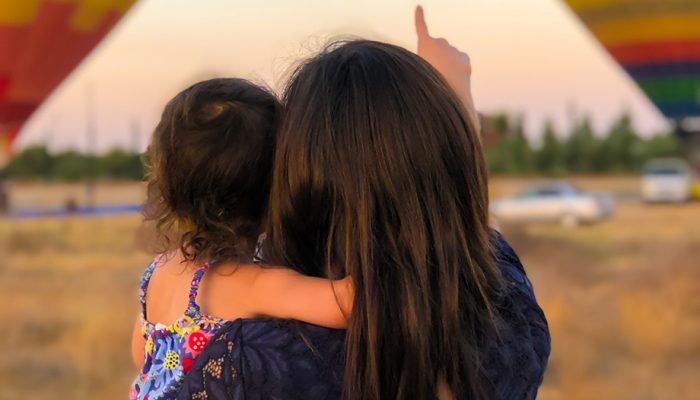 "Oikos", o el tema de la educación en la política española