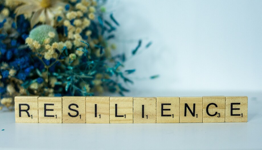 La résilience