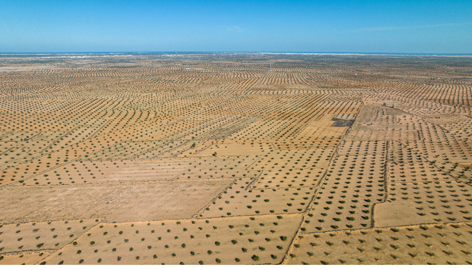 Un monde inhabité : trop de nourriture, trop peu d'habitants
