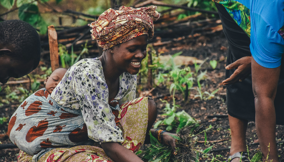 The fruits of the Church in Africa: vocations, peace and family