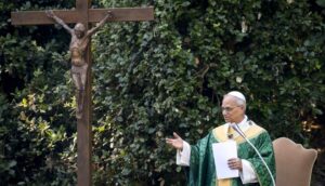 Creazione Papa Leone XIV Notizie OSV