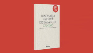 Camino