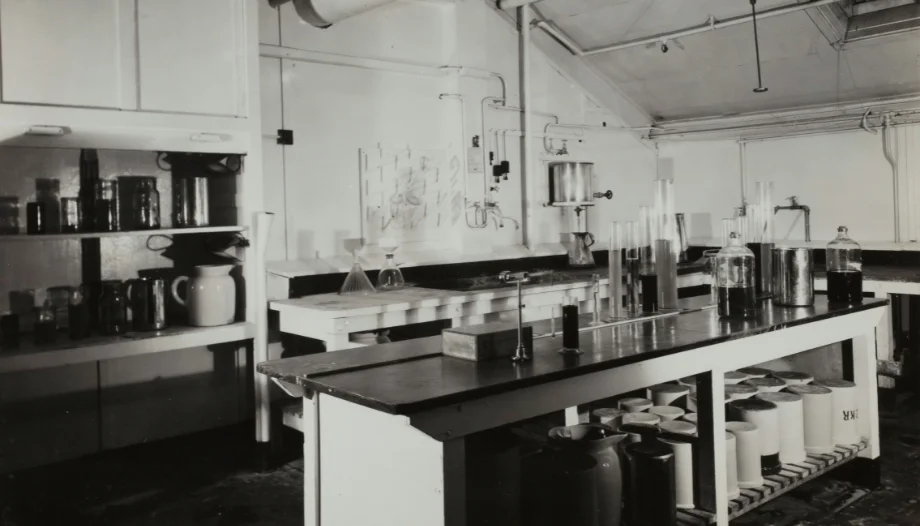 maria del pinar aznar ortiz