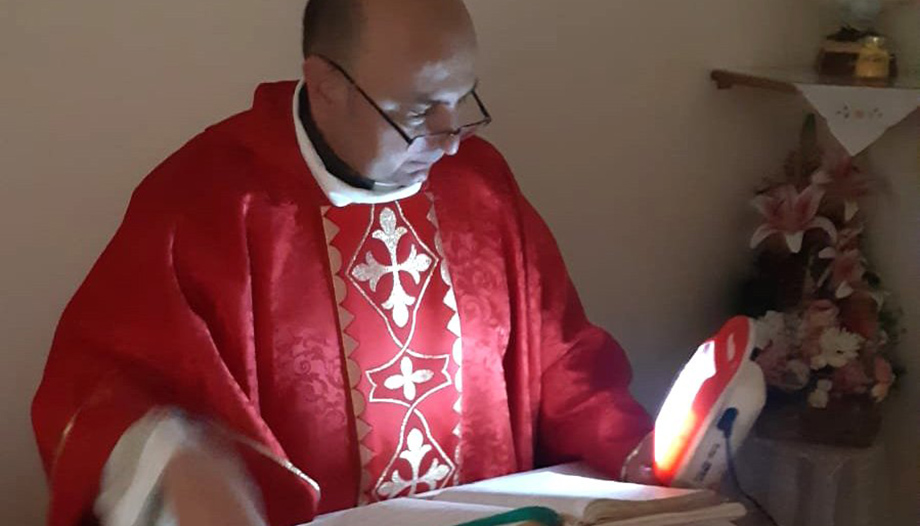 Multitasking“ shepherds”