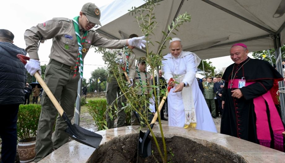 Il Papa pianta un ulivo a Ippona (Annaba).