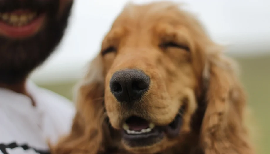 humano
