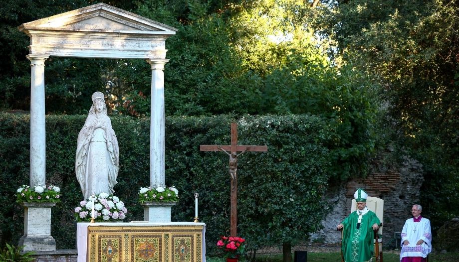 El Papa, en la Misa del Cuidado de la Creación.