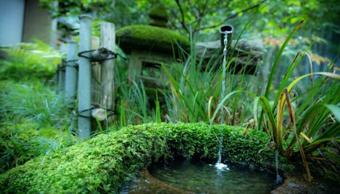 Conversión ecológica: un modo de agradecimiento al Dios creador